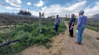 Evaluaron Bodegas y Viñedos para la excelencia en Enoturismo